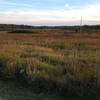 Overlooking prairie from the Main Loop.