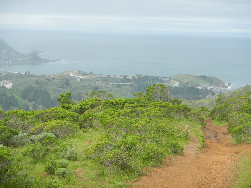 Sweeney Ridge Loop Hiking Trail, Pacifica, California