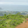 Half way up Baquiano Trail looking back to Mori Point.