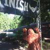 Sasquatch crossing the finish line in 2015.