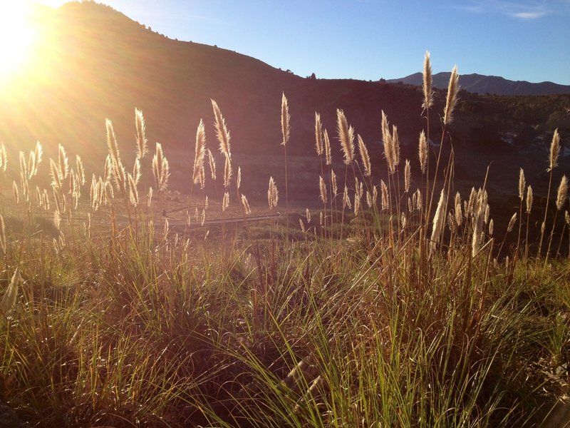 Morning at Mori Point.