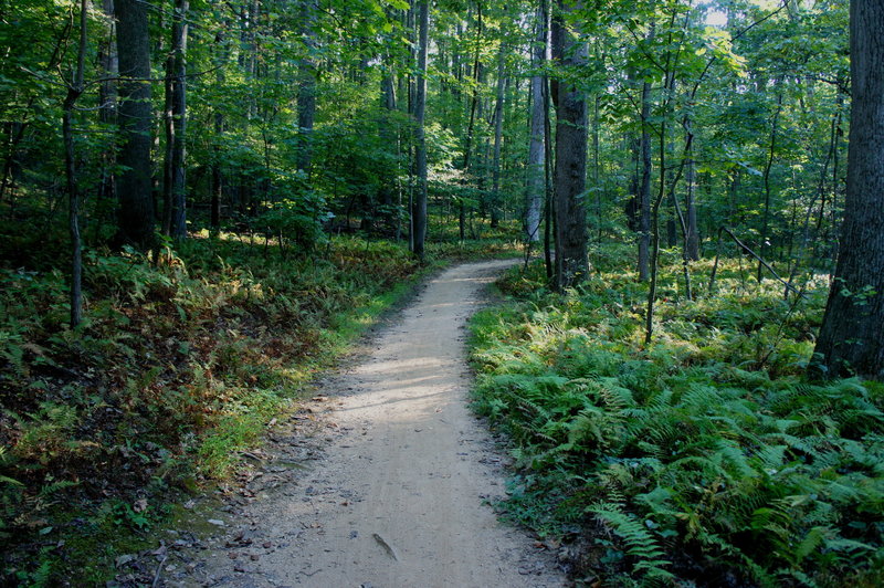 Lake Fairfax Trail.