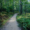 Lake Fairfax Trail.