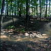 Tight turns on the trails at Lake Fairfax Park.