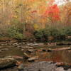 Stream crossings are beautiful on the Deep Creek Trail.