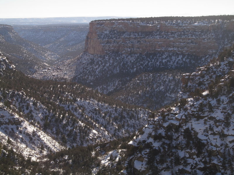 Marvelous canyon views In Mesa Verde National Park, Colorado. with permission from David Cure-Hryciuk