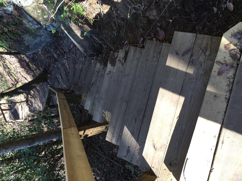 A few of the myriad of steps going up the falls side of the High Shoal Falls Trail.