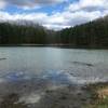 The pond at the start and end of the trails.