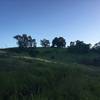 Looking up the the hill during sunset.