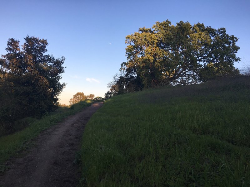 The trail as it descends along the hillside.