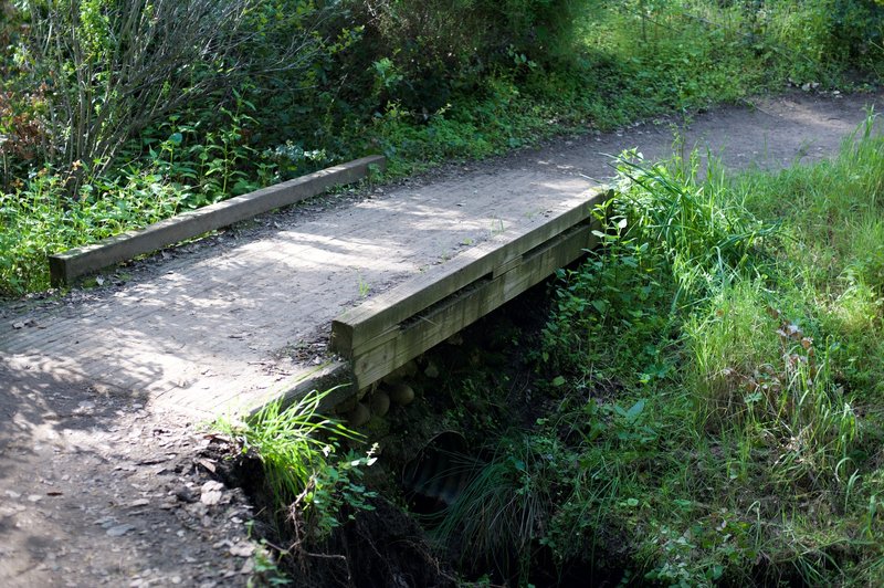 A small creek cuts across the trail, but is easily crossed by this small bridge.