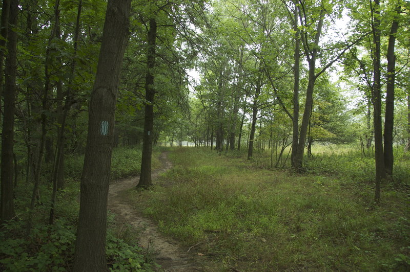 Buckeye Trail, north of Jaite. Photo: NPS John Fitzpatrick.