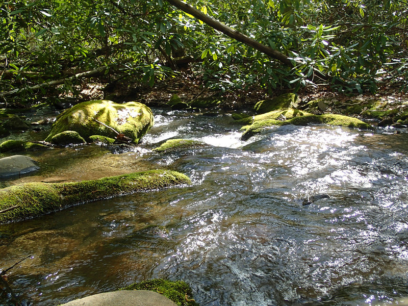 Twenty Mile Creek at Campsite 92. with permission from Mike Lerch