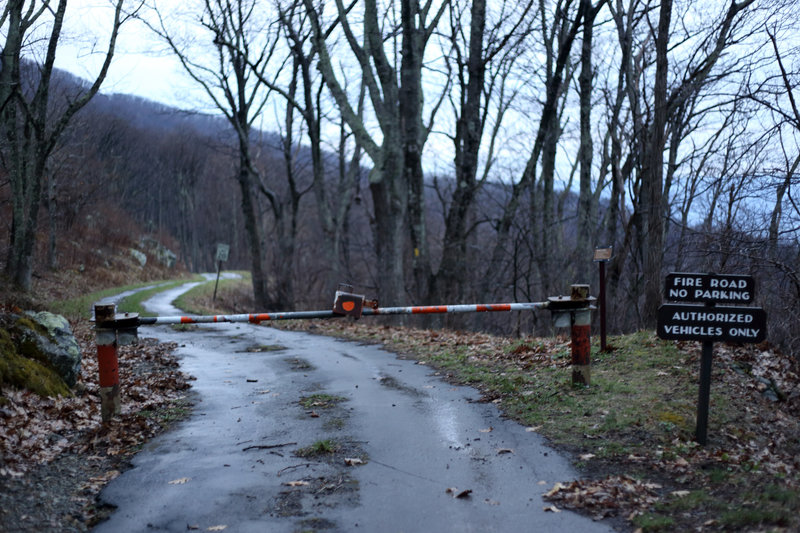 The start of the Red Gate Fire Road.