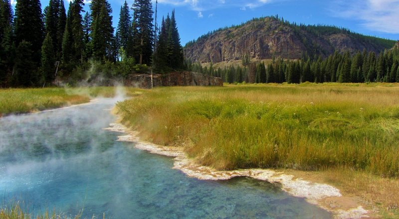 Snake Hot Springs - this is the largest of a group of very hot springs just south of the South Boundary Trail.