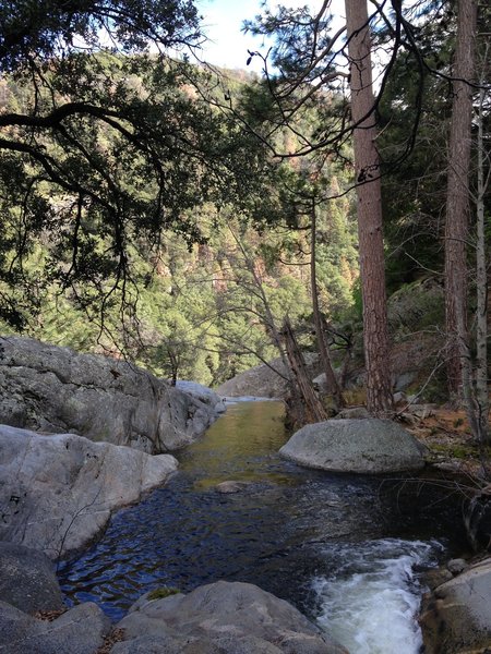 Mehrten Creek. There are some campsites here.