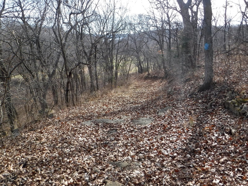 A short descent along the Perry Lake Trail.