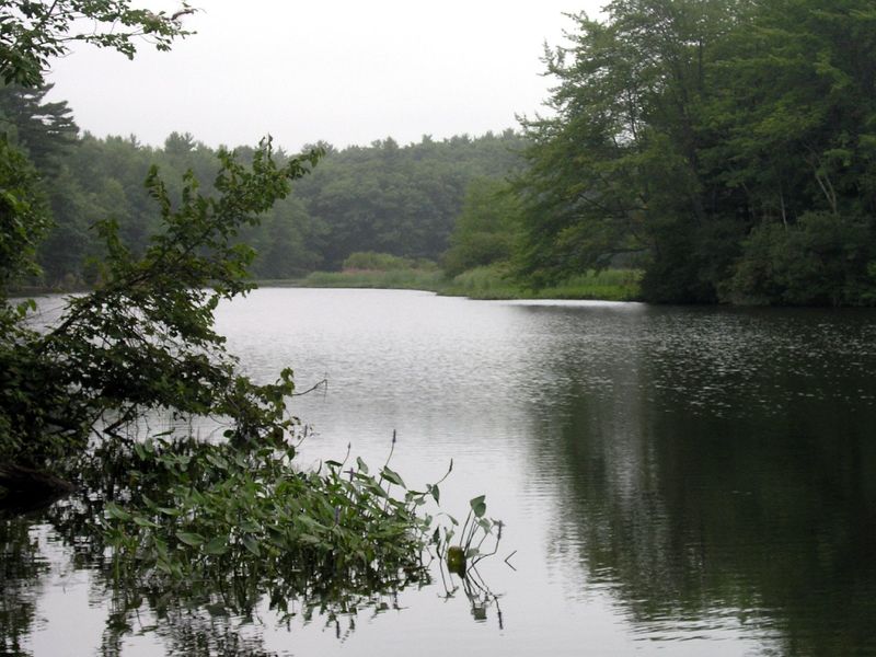 The Salmon River is a tranquil addition to the Scoutland Trail.