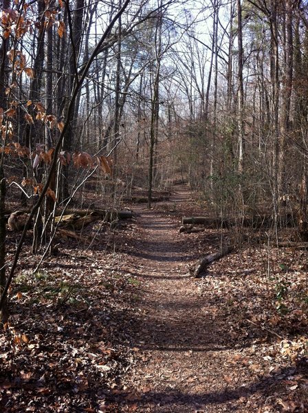 Island Ford. Chattahoochee National Recreation Area.