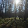 Long shadows on a winter afternoon at Hildacy Farm Preserve.