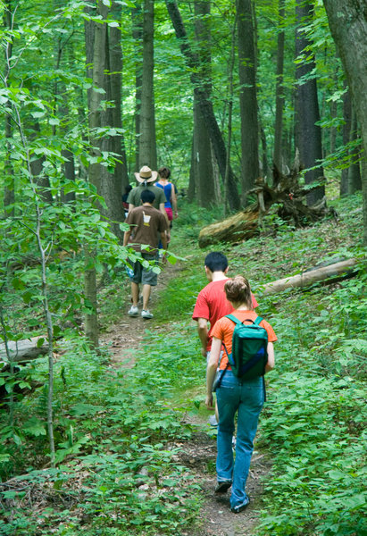 Hiking on the trail.