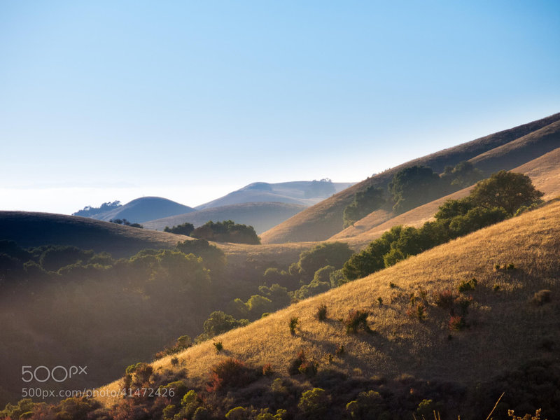 Sunshine on the hills at Dry Creek Pioneer Regional Park.