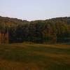 Overlooking the pond near the entrance to Lamping Short Loop.