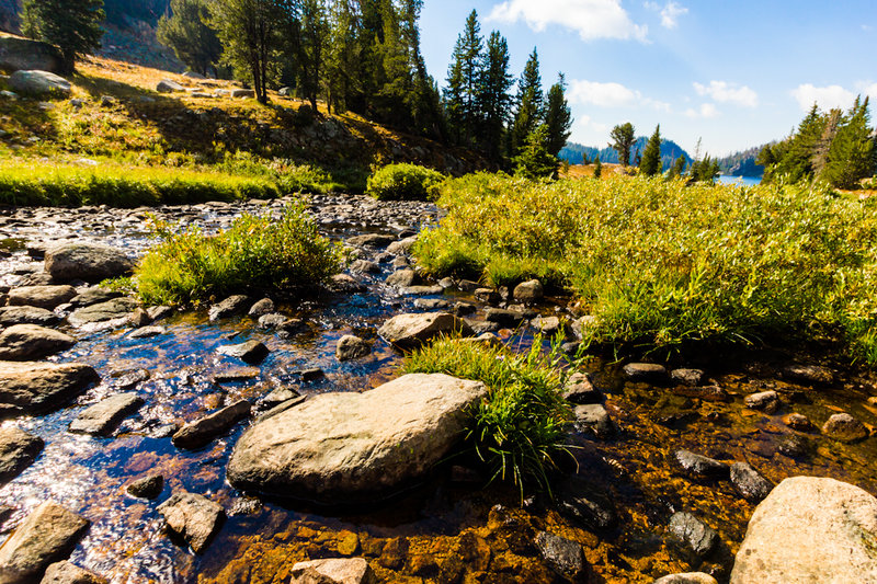 A stream flowing into Beauty Lake. with permission from Hobbes7714 Photo Credit: Andrew Wahr  Link: https://twitter.com/WahrAndrew