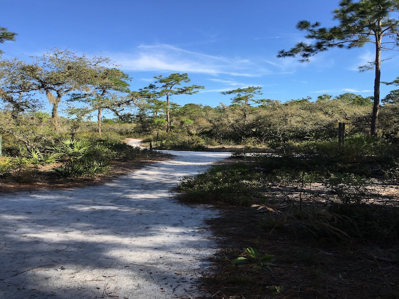 Entrance to Tarflower Loop.