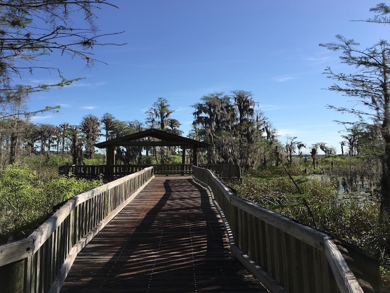 Boardwalk cover observation deck at Osprey Point.