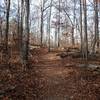 Leaves on the trail at Island Ford.