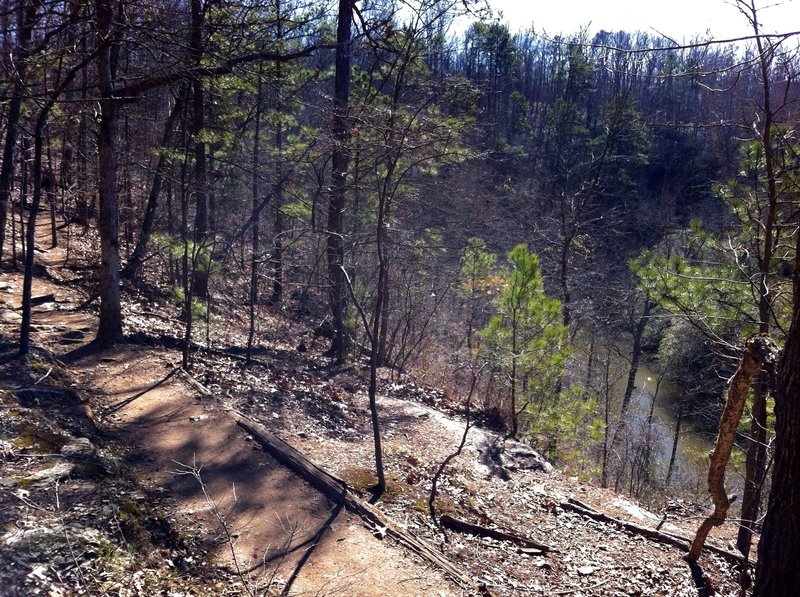 Trail above Big Creek.