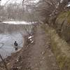 Off Leash Rec Area on the MSPT.