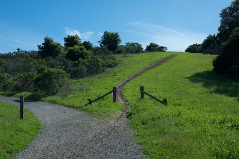 The trail narrows and climbs from the Meadowlark Trail.