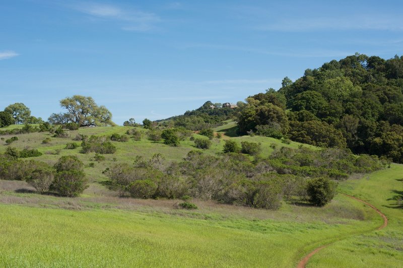 The trail can be seen as it drops down the hill and then climbs back up on the other side.  It's a narrow dirt track for a majority of the hike.