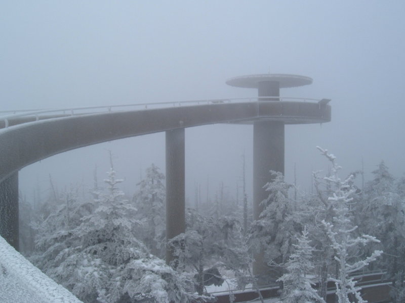 Socked in at Clingmans Dome. Photo by William Dolling.