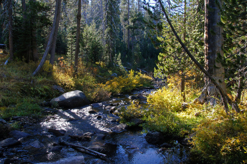 Bridalveil Creek from Ghost Forest Trail.