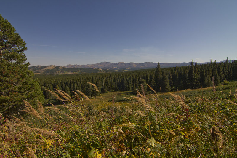 Looking east from the Autumn Creek Trail