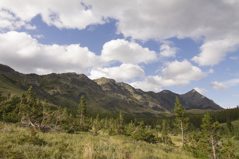 Looking north along the mountains at Marias Pass