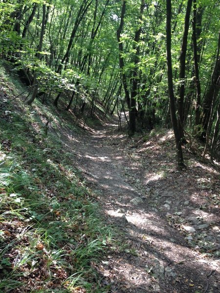 The shady trail to Mandra