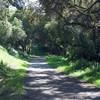 The trail as it departs the Arastradero Trail and continues to follow the creek bed.