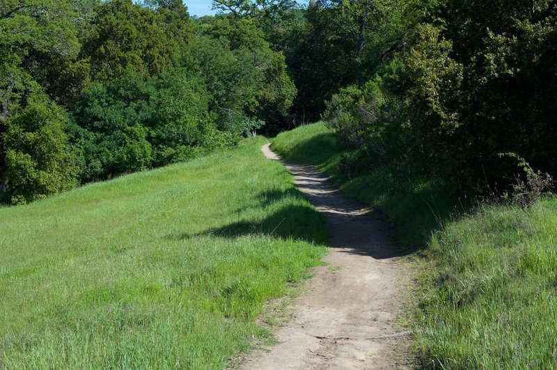 The trail climbs before hitting a switch back. It's a little rough in some places, but otherwise it is an easy climb.