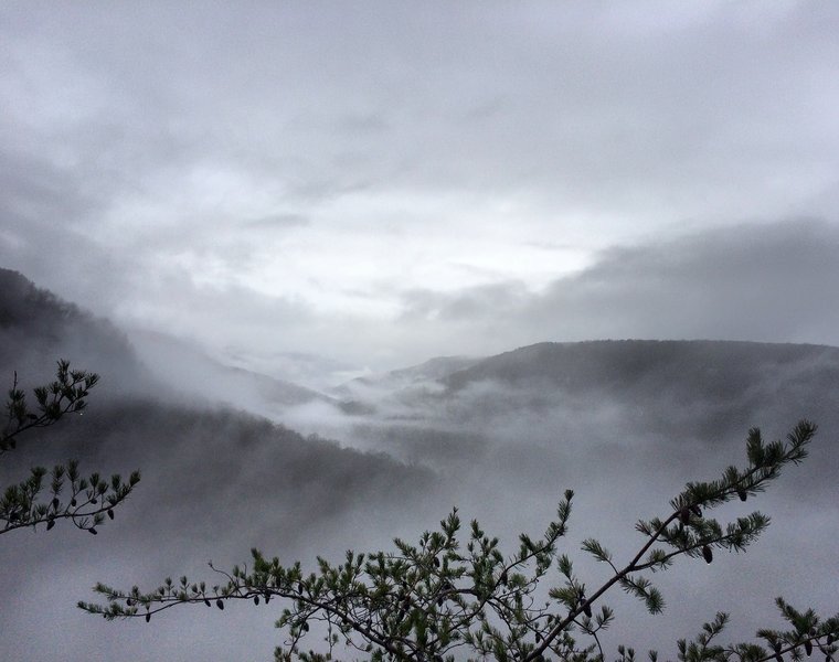 The fog sets in over the Cumberland Plateau after an early morning rain in Fall Creek Falls State Park. Photo was taken along the 14 mile Lower Loop Trail.