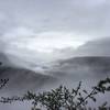 The fog sets in over the Cumberland Plateau after an early morning rain in Fall Creek Falls State Park. Photo was taken along the 14 mile Lower Loop Trail.