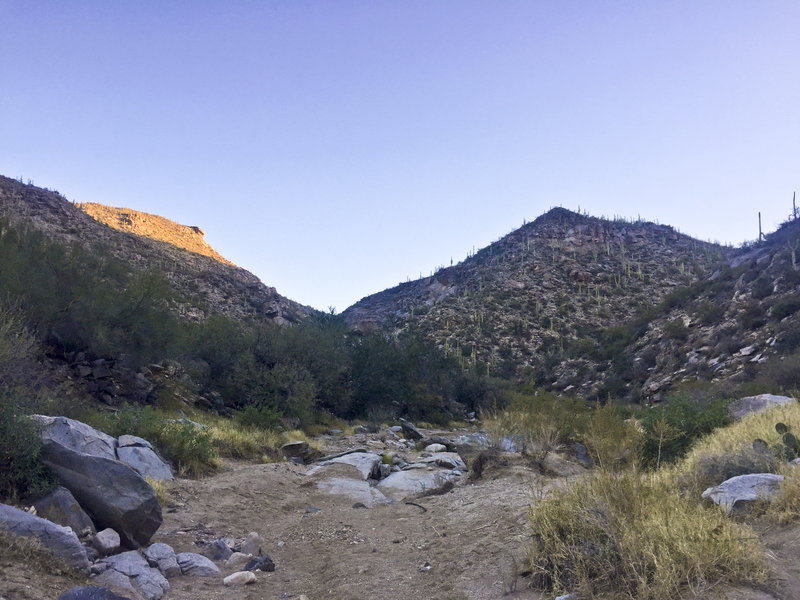 Looking up the wash of the Wild Burro Canyon.