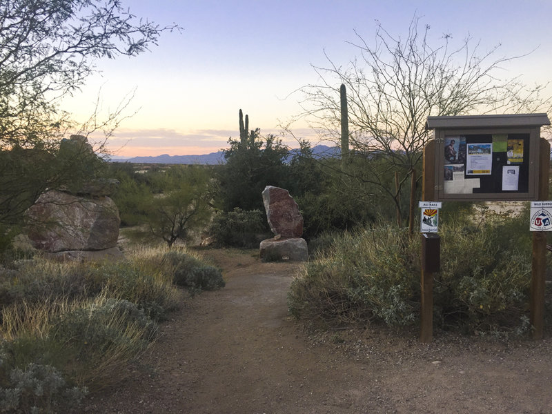 The start at the trailhead.