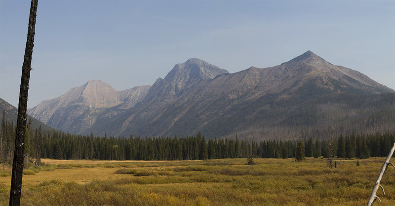 A view up Rogers Meadow as Camas Creek snakes through it. Mountains visible are right to left Stanton Mountain, Mt. Vaught, and Heavens Peak.