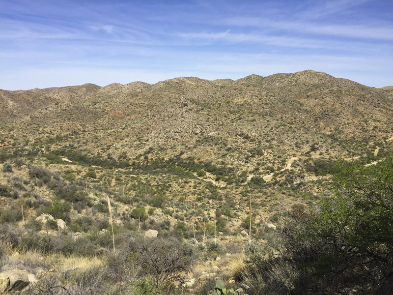 The Wild Burro Trail singletrack is visible in the distance along with the Tortolita Traverse Trail road leading up over the mountains.