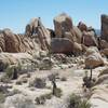 Large rocks are close to the trail and allow for exploration for both children and adults. For climbers, these rocks provide great opportunities for bouldering.