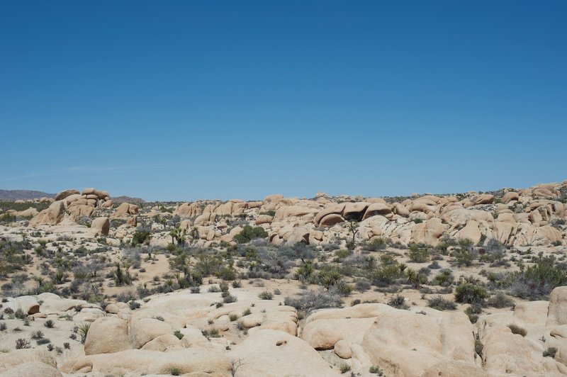 A view of the area from the trail.